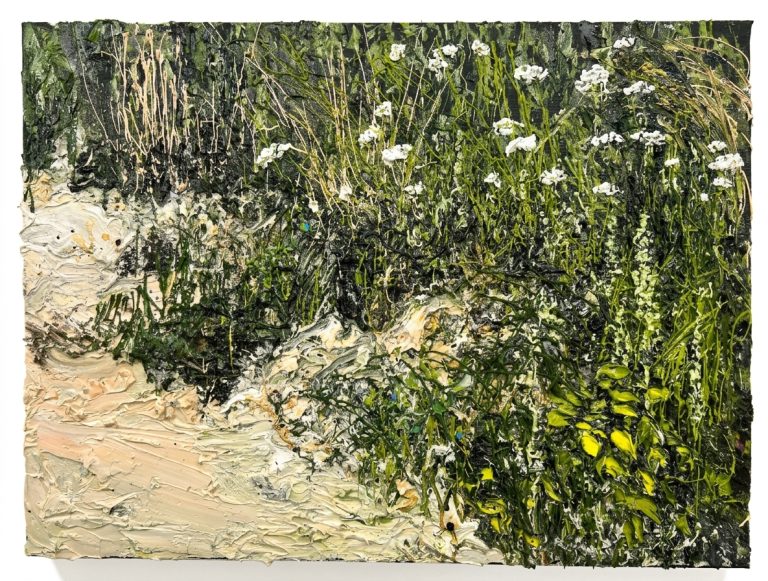 Helmut_Helmes_Naturstück VI_2026_Öl_Lwd._60x80