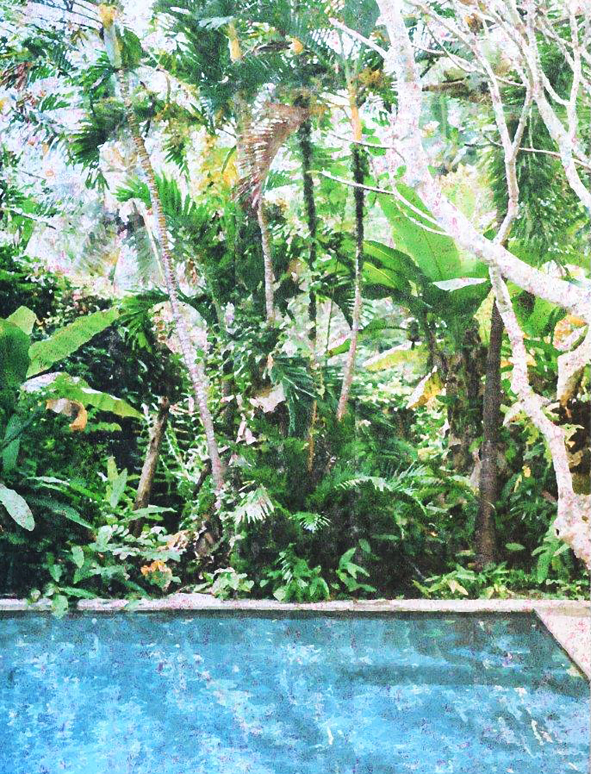 Pool mit Urwald 2024 130x100