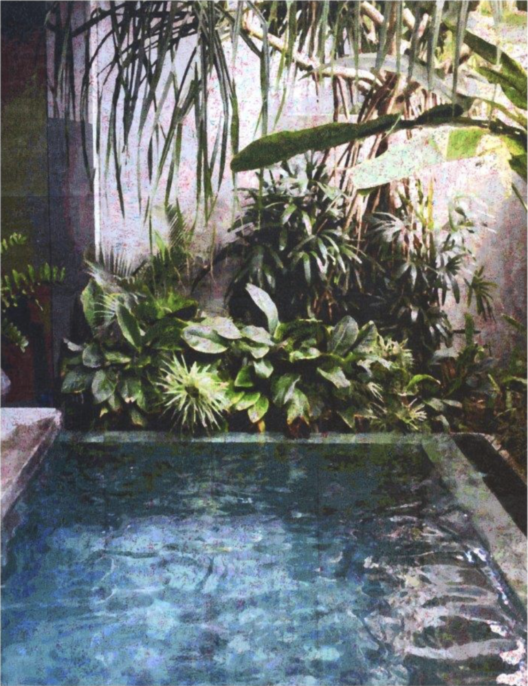 Ralph_Petschat_Pool_2026_130x100