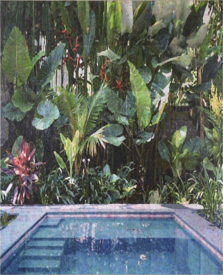 Ralph_Petschat_Pool_mit_Blüte_2025_130x100